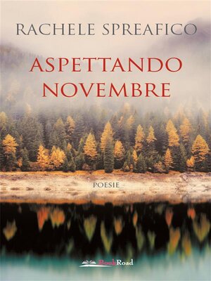 cover image of Aspettando novembre